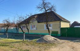 Casa 3 camere, 250 mp, zona Pesac