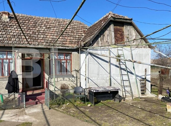 Casa de vânzare 3 camere Exterior Nord - 123018CV | BLITZ Timișoara | Poza3