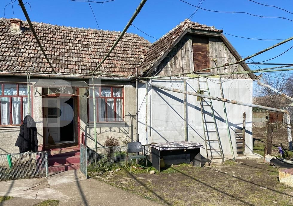 Casa de vânzare 3 camere Exterior Nord - 123018CV | BLITZ Timișoara | Poza3