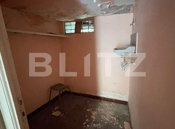 Spațiu comercial de închiriat Balcescu - 123067SIC | BLITZ Timișoara | Poza3