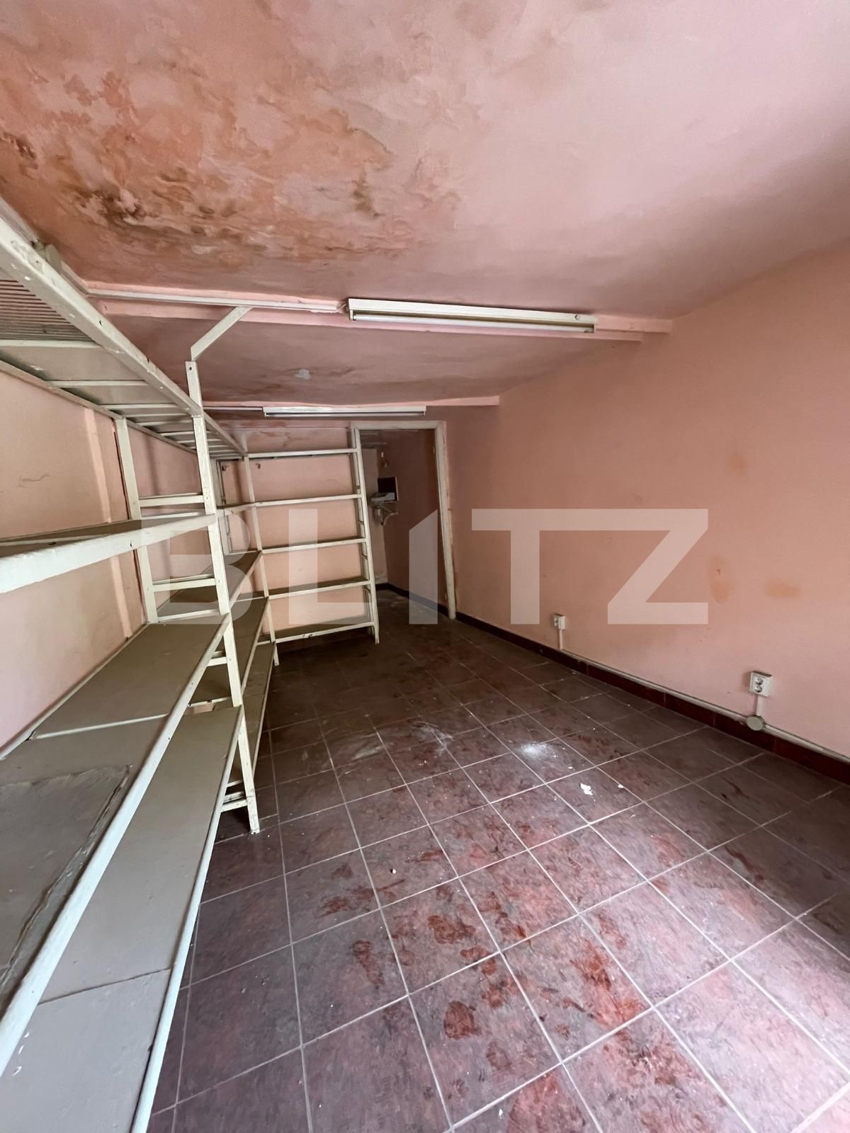 Spațiu comercial de închiriat Balcescu - 123067SIC | BLITZ Timișoara | Poza2