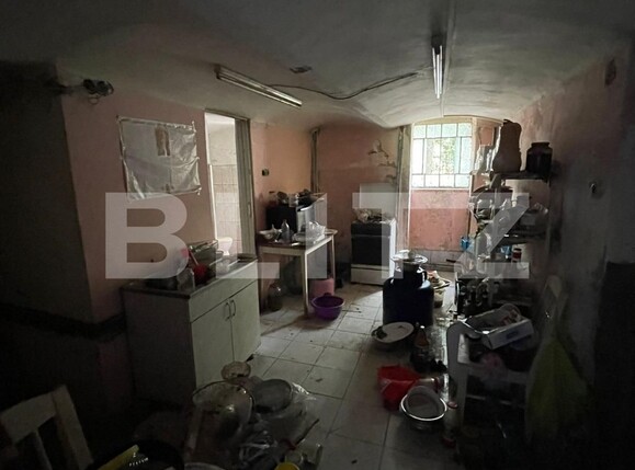 Spațiu comercial de închiriat Balcescu - 123070SIC | BLITZ Timișoara | Poza3