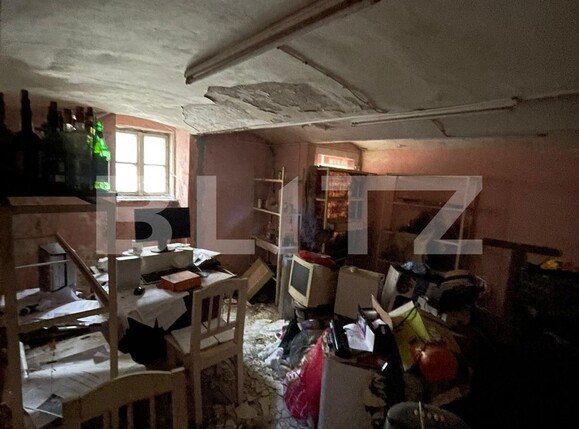 Spațiu comercial de închiriat Balcescu - 123070SIC | BLITZ Timișoara | Poza2