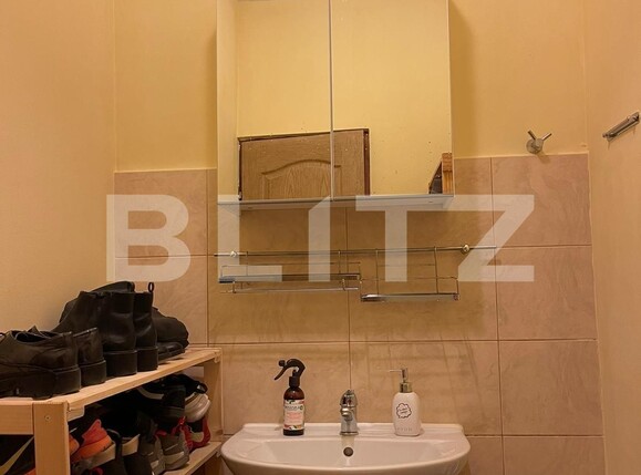 Apartament de vânzare 4 camere Bucovina - 123116AV | BLITZ Timișoara | Poza10