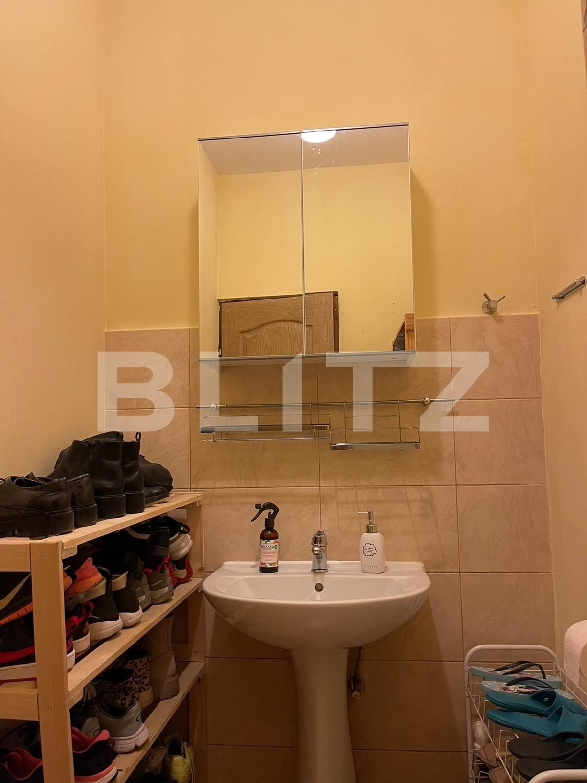 Apartament de vânzare 4 camere Bucovina - 123116AV | BLITZ Timișoara | Poza10