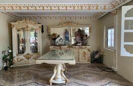 Casa de 3 camere + spatiu industrial pe Muzicescu