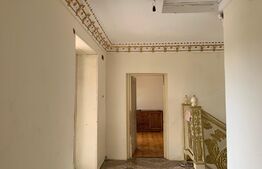 Casa de 3 camere + spatiu industrial pe Muzicescu