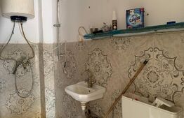 Casa de 3 camere + spatiu industrial pe Muzicescu