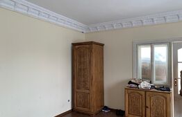 Casa de 3 camere + spatiu industrial pe Muzicescu