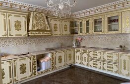 Casa de 3 camere + spatiu industrial pe Muzicescu