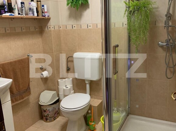 Casa de vânzare 7 camere Lipovei - 123350CV | BLITZ Timișoara | Poza5