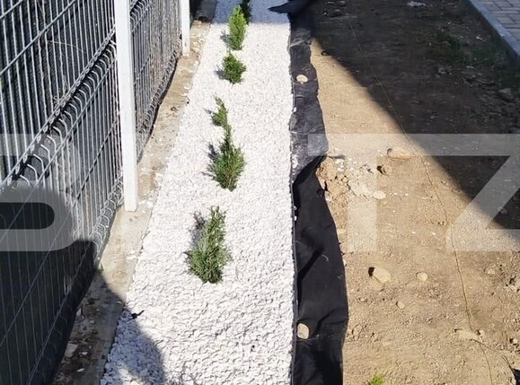 Casa de vânzare 4 camere Mosnita Noua - 123550CV | BLITZ Timișoara | Poza7