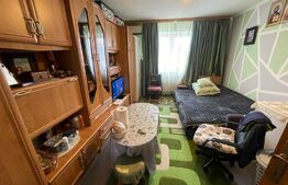 Garsonieră, 21 mp, calea Buziașului