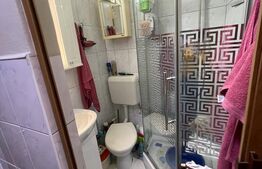 Garsonieră, 21 mp, calea Buziașului