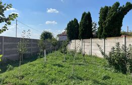 Casa individuala cu 4 camere, 175 mp utili, 400 mp teren, zona Chisoda