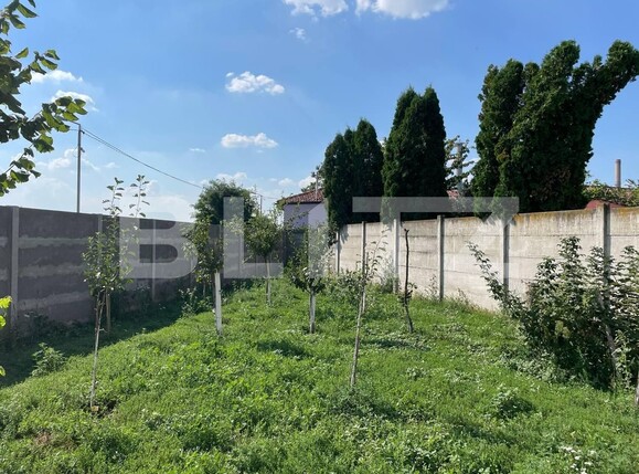 Casa de vânzare 4 camere Chisoda - 123737CV | BLITZ Timișoara | Poza6