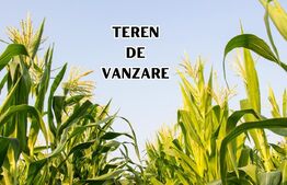 5000 mp teren extravilan in Giarmata 