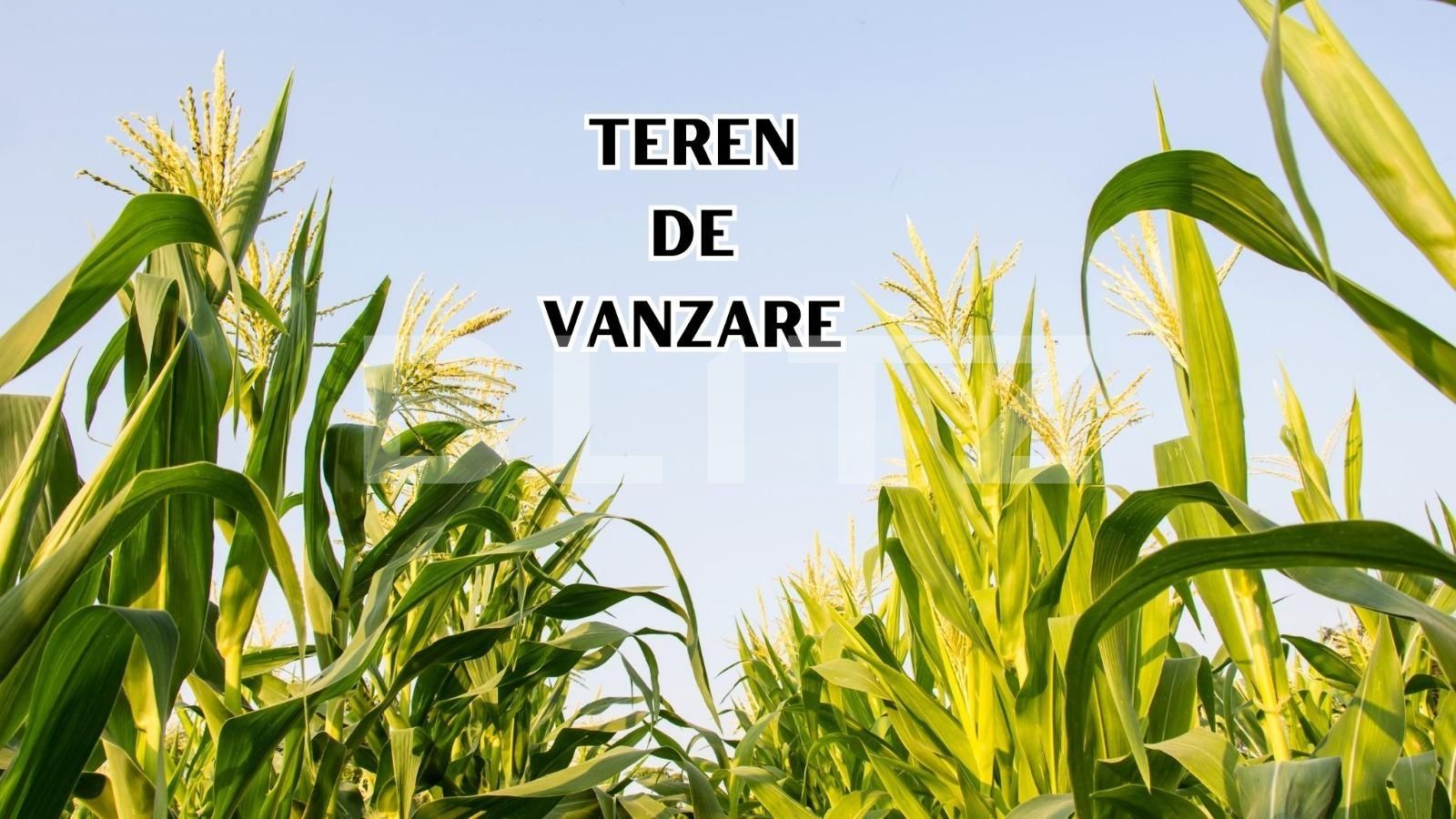 Teren de vânzare Giarmata - 123745TV | BLITZ Timișoara | Poza1