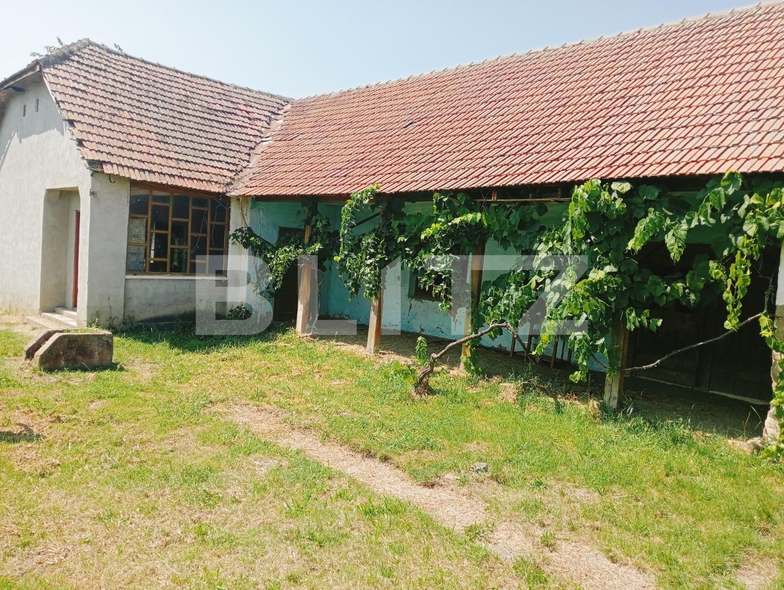 Casa de vânzare 5 camere Exterior Sud - 123810CV | BLITZ Timișoara | Poza1