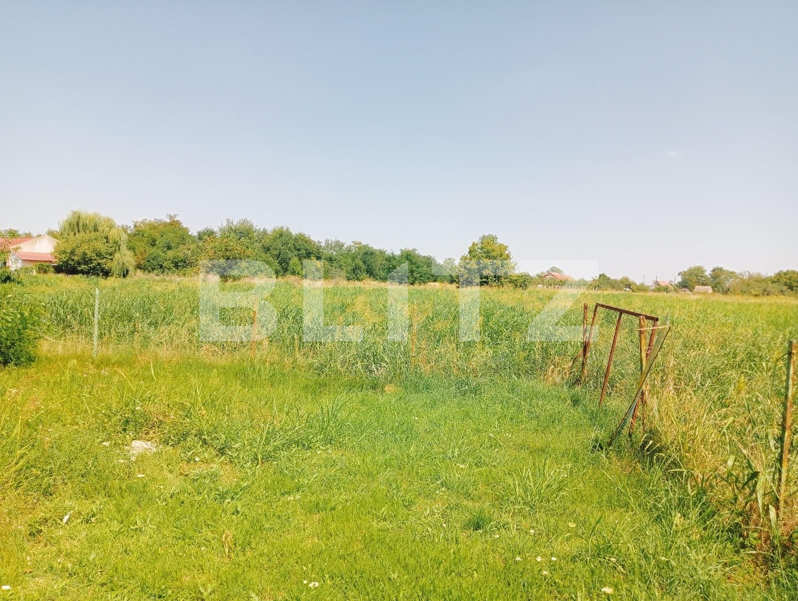 Casa de vânzare 5 camere Exterior Sud - 123810CV | BLITZ Timișoara | Poza3