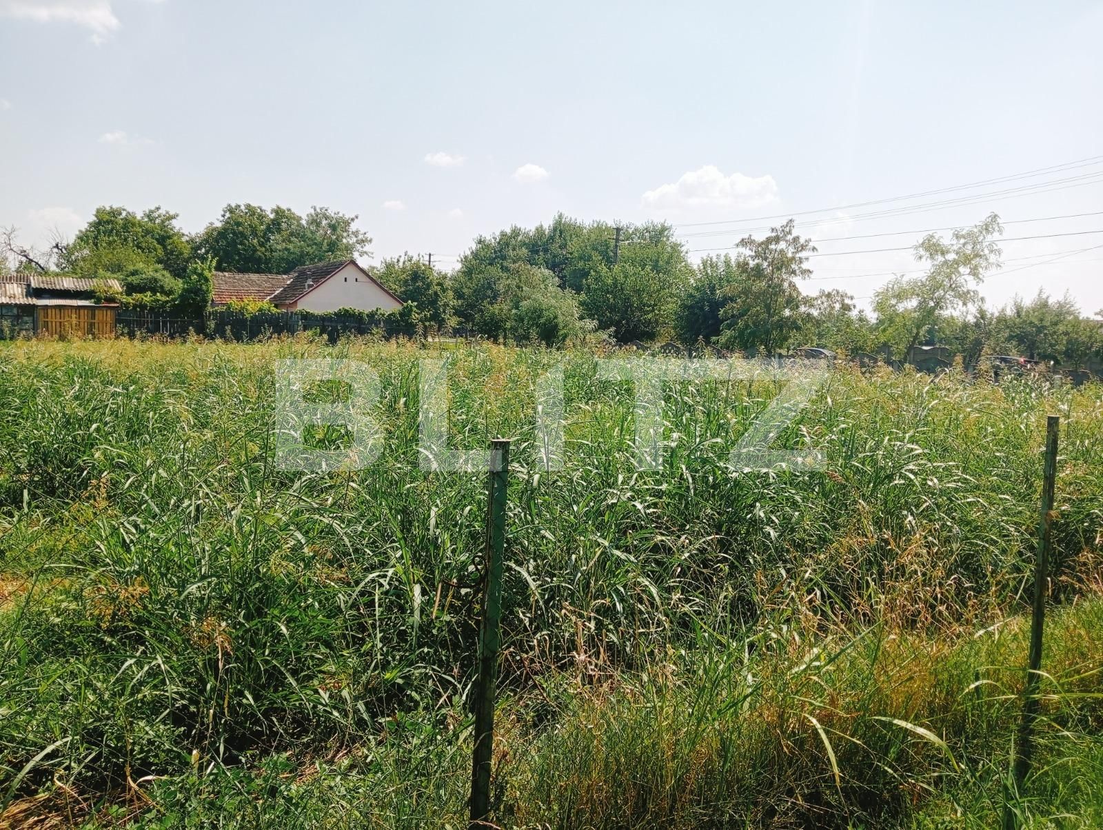 Casa de vânzare 5 camere Exterior Sud - 123810CV | BLITZ Timișoara | Poza2