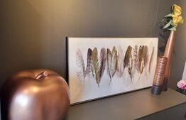 1/2 Duplex de lux mobilat in Mosnita Noua! 126 mp Utili, 370 mp teren!