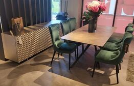 1/2 Duplex de lux mobilat in Mosnita Noua! 126 mp Utili, 370 mp teren!