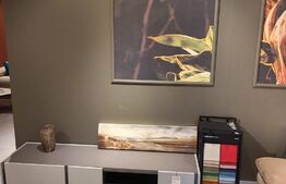 1/2 Duplex de lux mobilat in Mosnita Noua! 126 mp Utili, 370 mp teren!