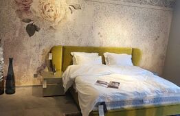 1/2 Duplex de lux mobilat in Mosnita Noua! 126 mp Utili, 370 mp teren!