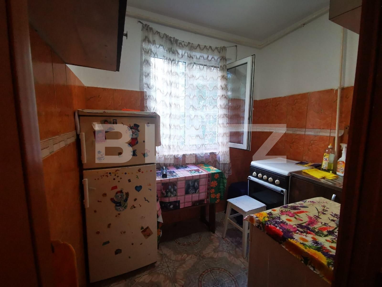 Garsonieră de vânzare Blascovici - 124106AV | BLITZ Timișoara | Poza3