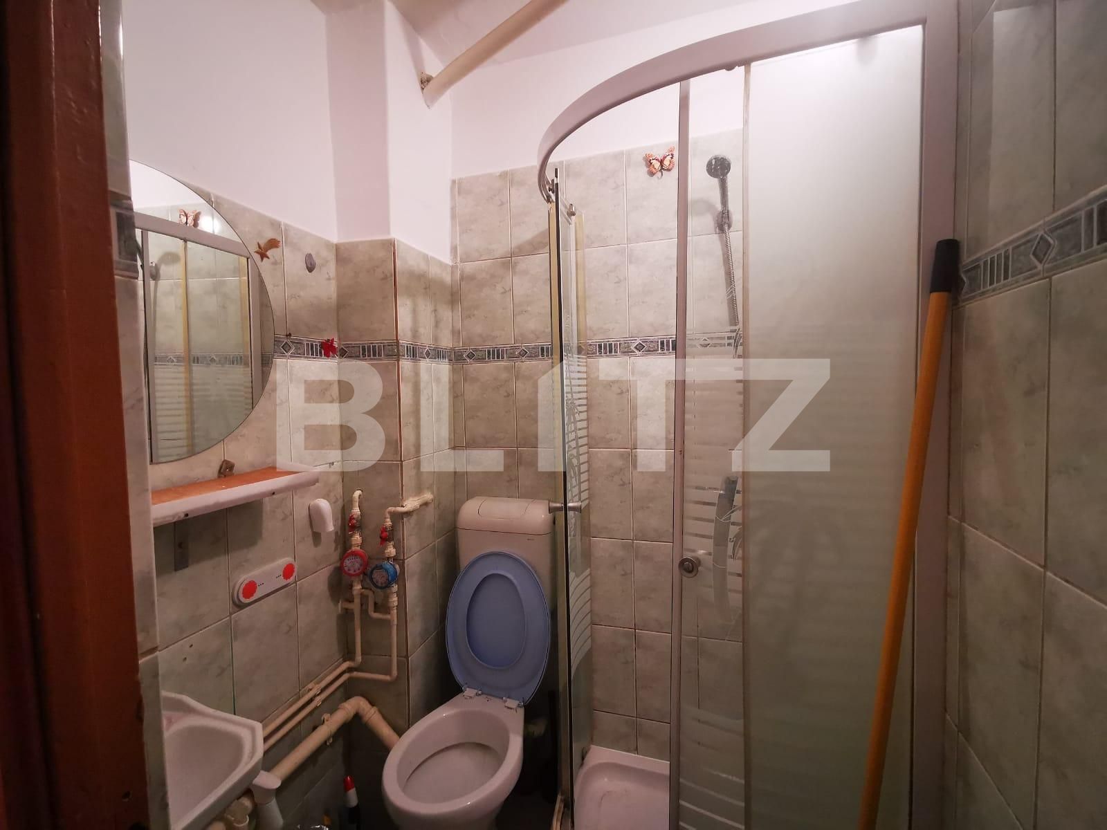 Garsonieră de vânzare Blascovici - 124106AV | BLITZ Timișoara | Poza4