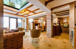 Vila de lux cu 7 camere, teren 2931 mp