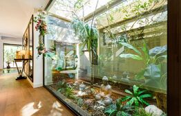 Vila de lux cu 7 camere, teren 2931 mp