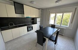 Apartament la vila, 4 camere, 2 bai, curte comuna, zona Olimpia Stadion