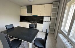 Apartament la vila, 4 camere, 2 bai, curte comuna, zona Olimpia Stadion