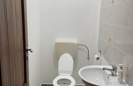 Duplex P+E+M,134 mp utili, 279 mp teren, cartier Mosnita Noua