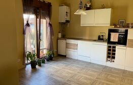 Duplex P+E+M,134 mp utili, 279 mp teren, cartier Mosnita Noua