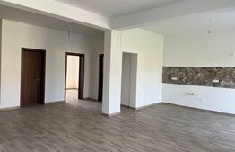 Duplex 150 mp utili, 316 mp teren, cartier Mosnita Noua