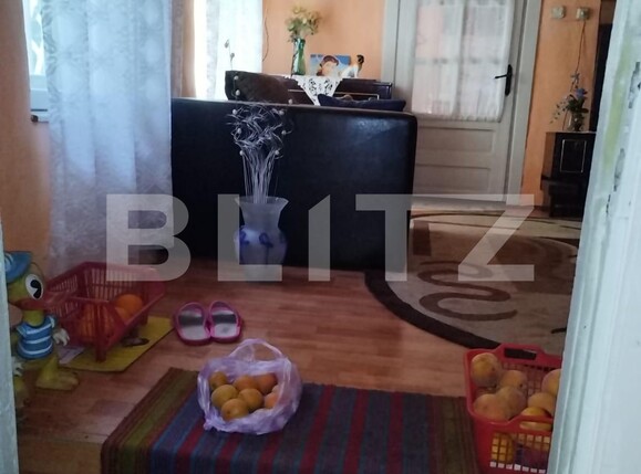 Casa de vânzare 5 camere Traian - 124431CV | BLITZ Timișoara | Poza8