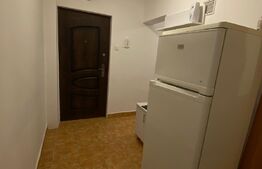 Apartament cu o camera, 31mp, zona Blascovici
