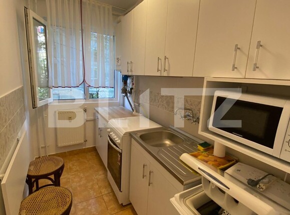 Garsonieră de vânzare Blascovici - 124612AV | BLITZ Timișoara | Poza2