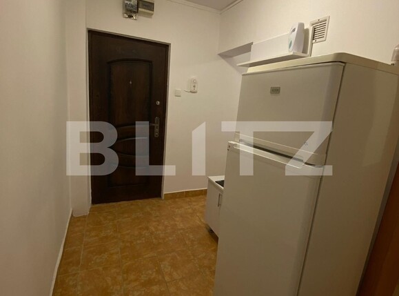 Garsonieră de vânzare Blascovici - 124612AV | BLITZ Timișoara | Poza1