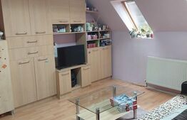 Apartament 2 camere, 42 mp, zona Girocului