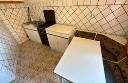 Apartament 2 camere, 50mp, mobilat/utilat, zona Girocului