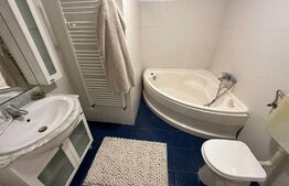 Penthouse cu 3 camere, 100mp, 2 bai, pe 2 niveluri, zona Balcescu