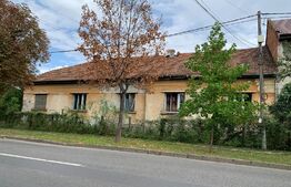 Casa cu 2 apartamente in Blascovici