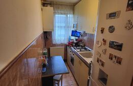 Apartament 2 camere, 42 mp, zona Girocului