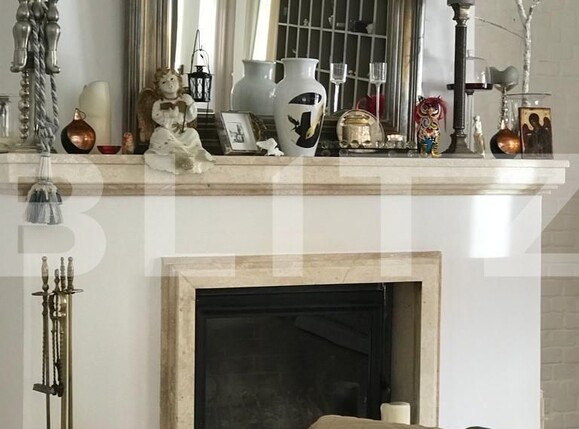 Spațiu comercial de închiriat Traian - 125631SIC | BLITZ Timișoara | Poza15