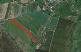 Teren, 5 HA, cu front la sosea, Seceani