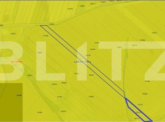 Teren de vânzare Orţişoara - 125735TV | BLITZ Timișoara | Poza1